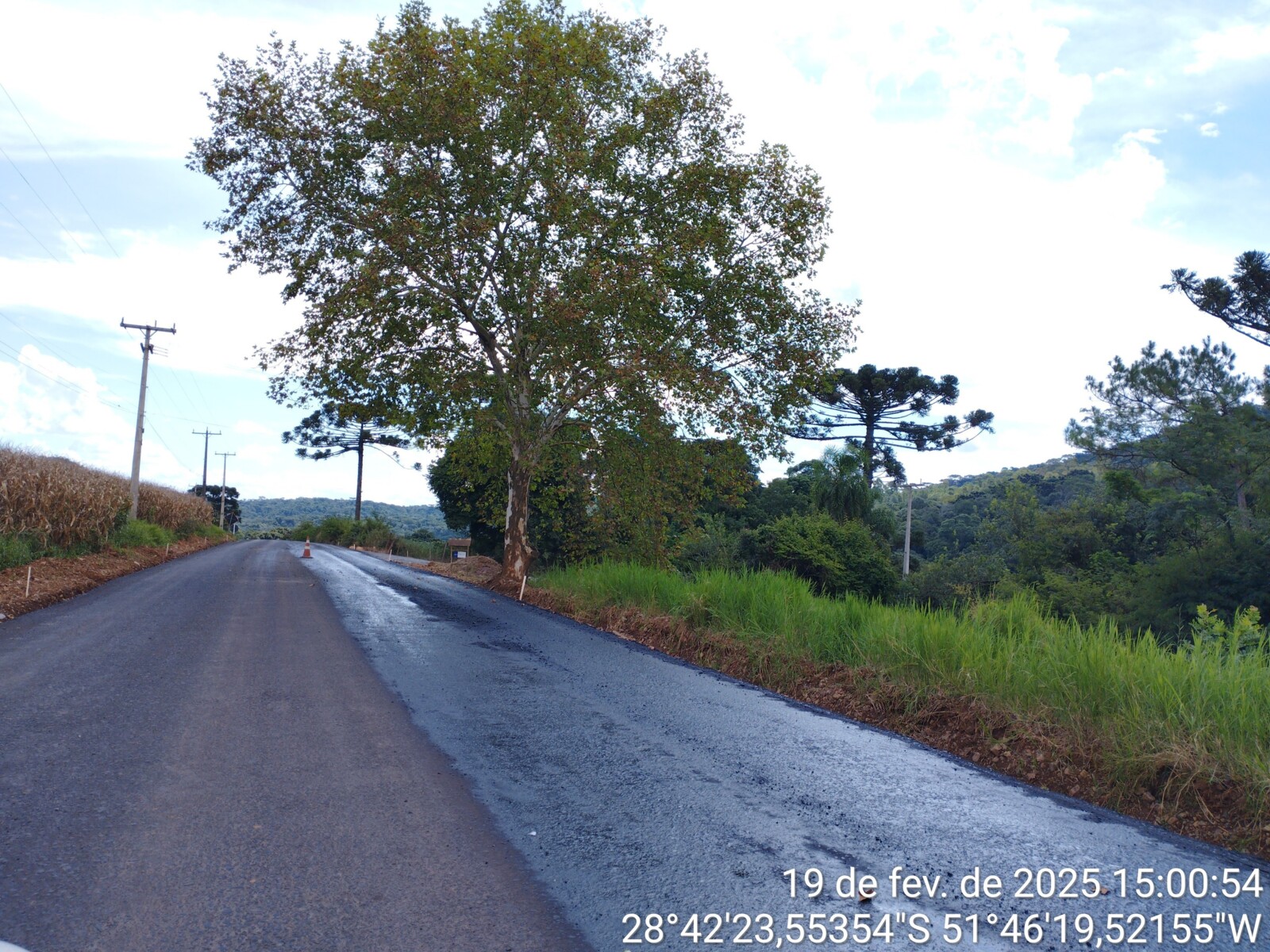 TimePhoto_20250219_150054.jpg