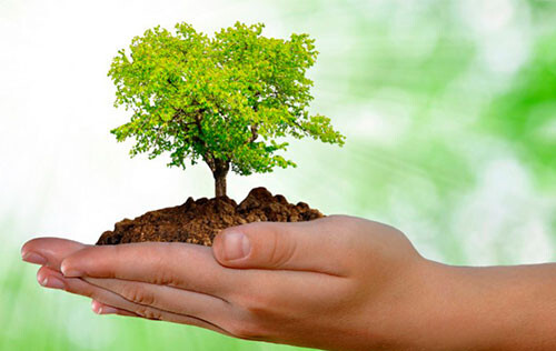 licenciamento-ambiental