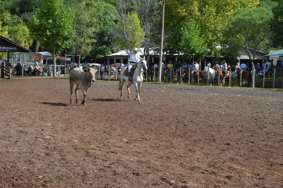 rodeio-crioulo-estadual-de-nova-bassano